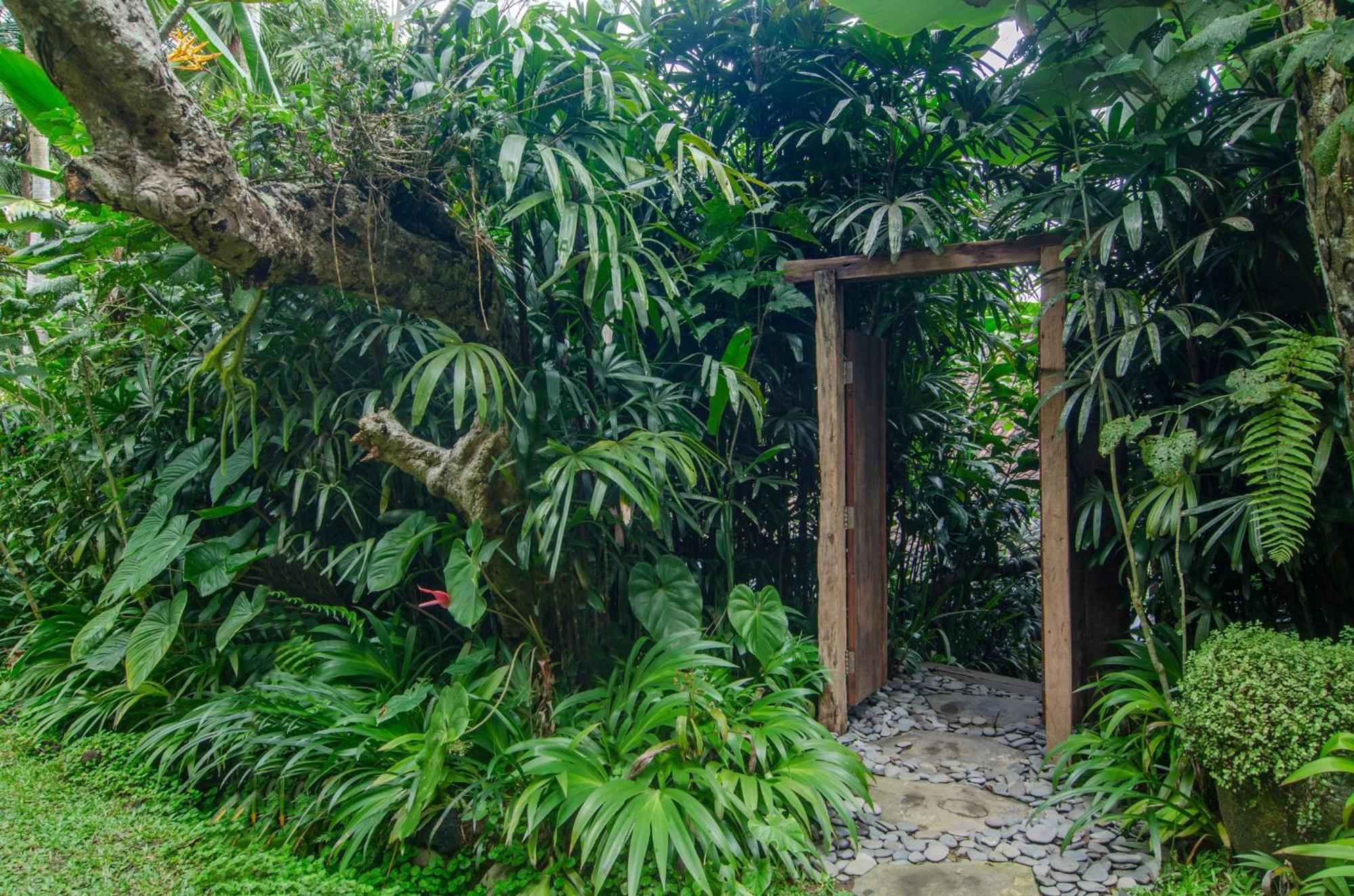 帕洋安Dewi Tara Haven住宿加早餐旅馆 客房 照片