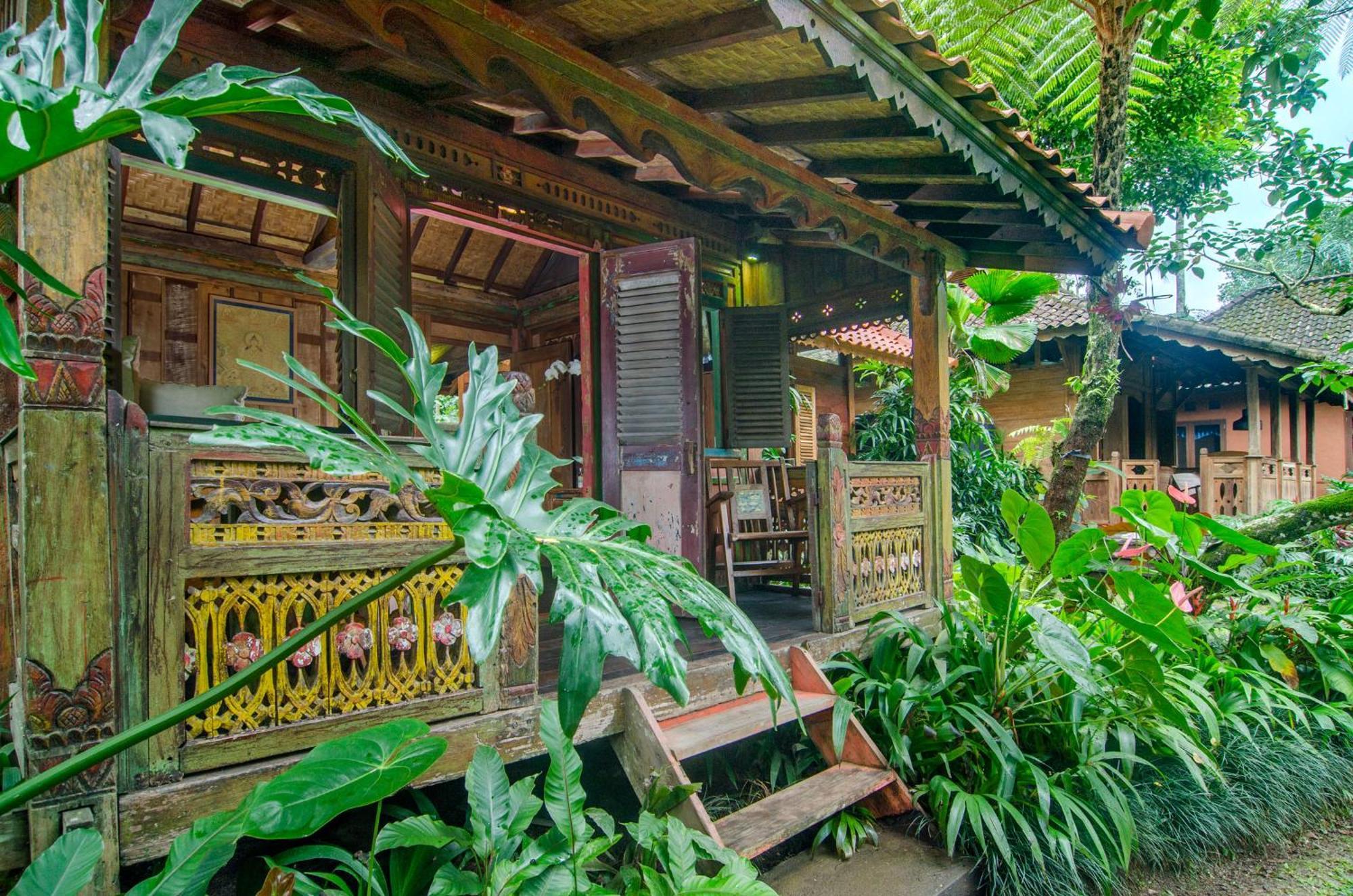 帕洋安Dewi Tara Haven住宿加早餐旅馆 客房 照片