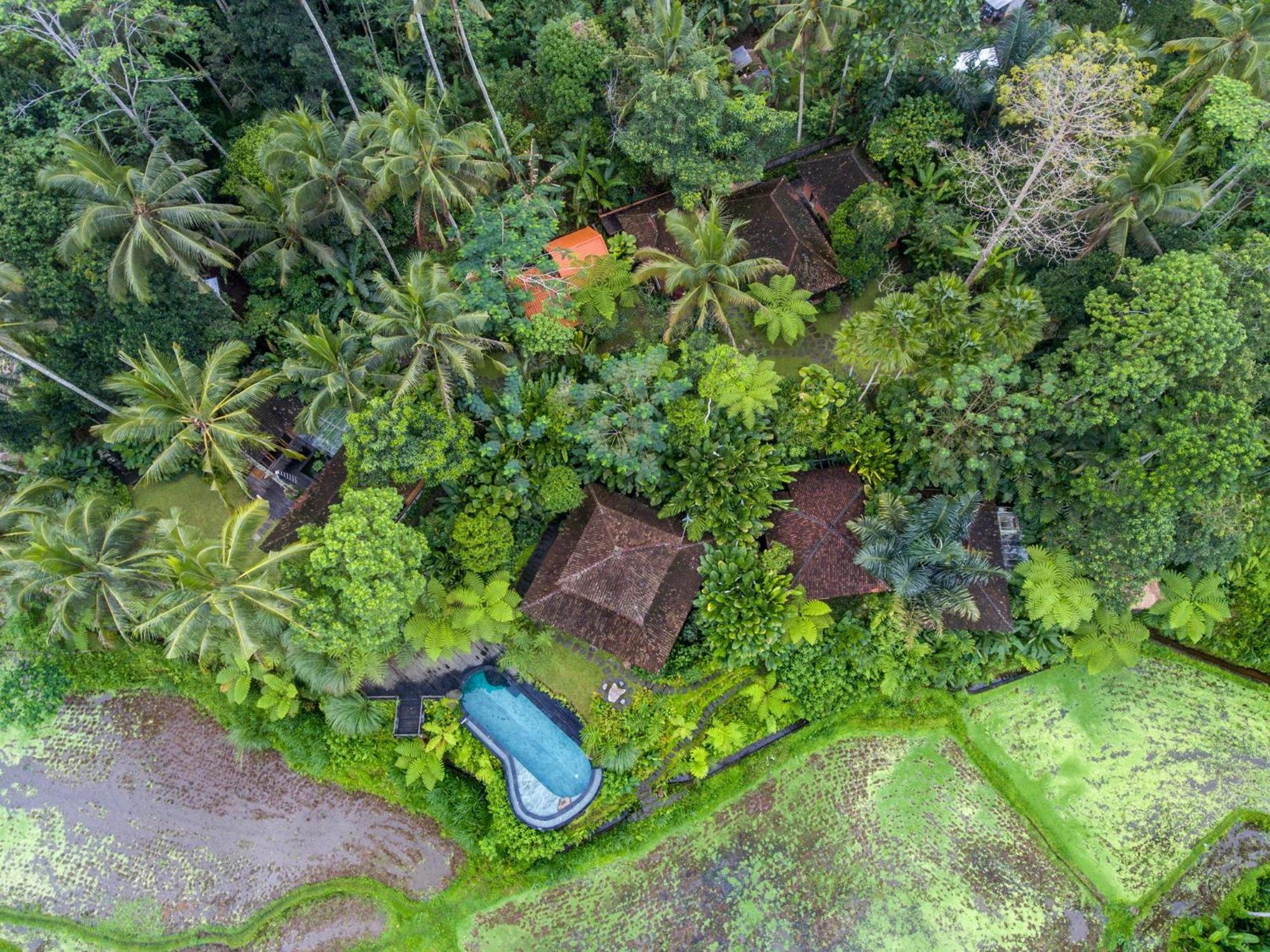 帕洋安Dewi Tara Haven住宿加早餐旅馆 客房 照片