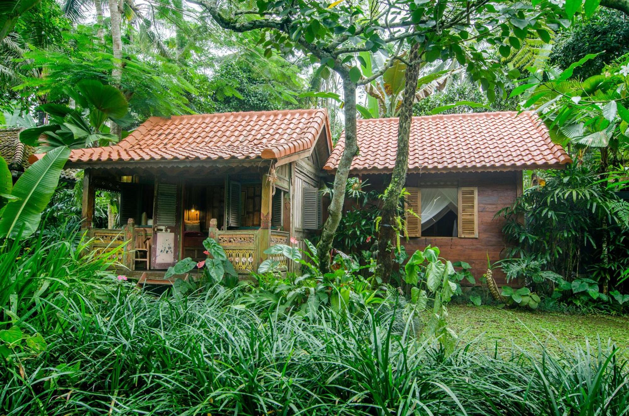 帕洋安Dewi Tara Haven住宿加早餐旅馆 客房 照片